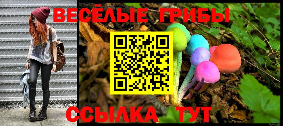 Галлюциногенные грибы Psilocybine cubensis Новоалександровск