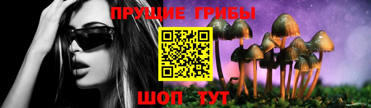 Псилоцибиновые грибы GOLDEN TEACHER  Вход с VPN  Галлюциногенные грибы Psilocybe  Новоалександровск 